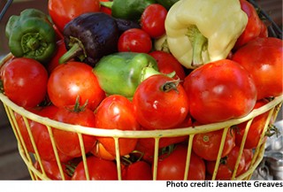 basket of tomatoes and peppers