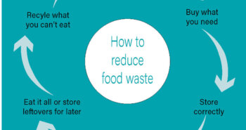 graphic how to reduce food waste