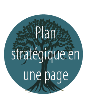Plan stratégique en une page